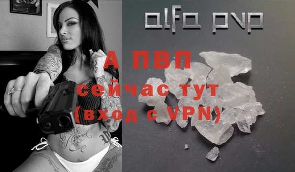 сатива Алзамай