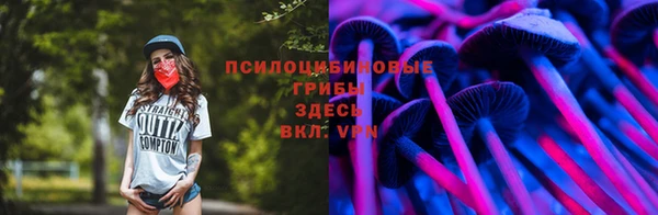 сатива Алзамай