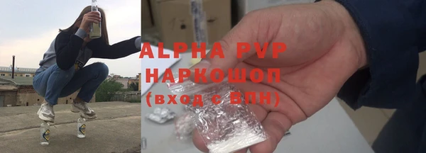 индика Алексин