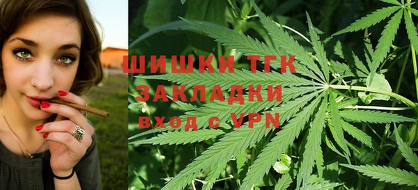 индика Алексин