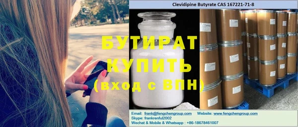 индика Алексин
