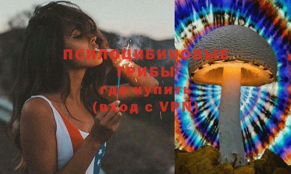 индика Алексин