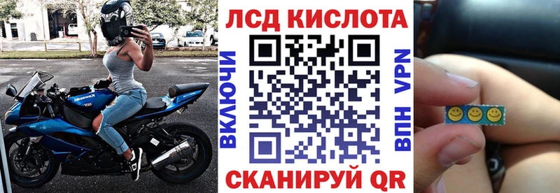 Марки N-bome 1500мкг  KRAKEN ТОР  Сосновый Бор 
