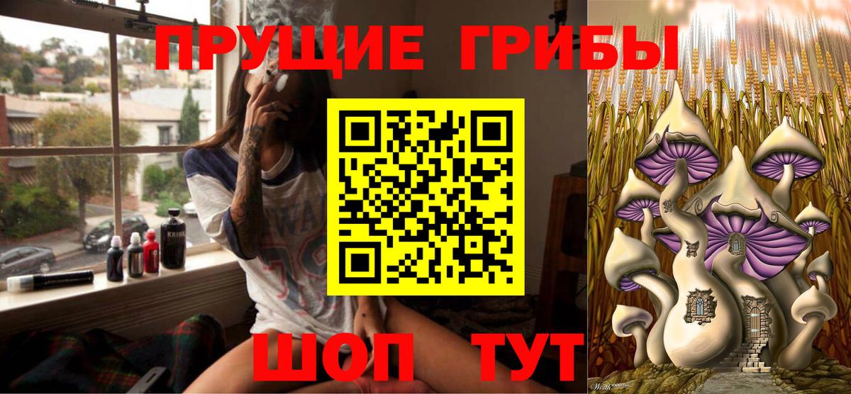 Псилоцибиновые грибы MAGIC MUSHROOMS Сосновый Бор