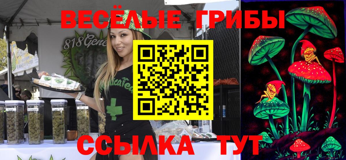 Галлюциногенные грибы прущие грибы  Вход с VPN  закладка  Сосновый Бор 
